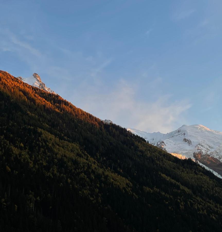 Апартаменты Center & Unique Mountain View Шамони Экстерьер фото