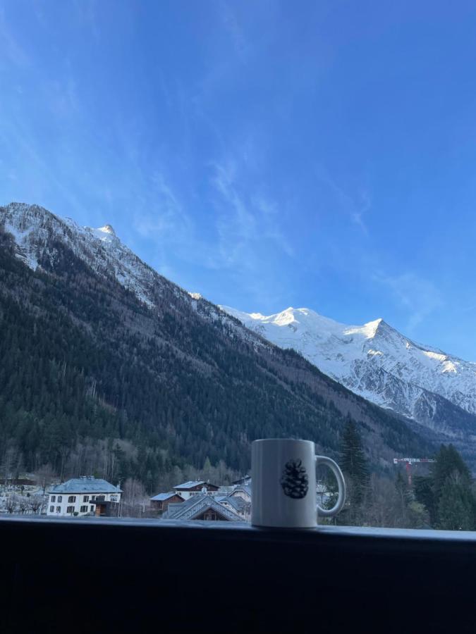 Апартаменты Center & Unique Mountain View Шамони Экстерьер фото